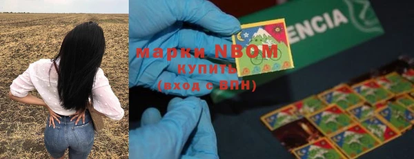 соль ск Абаза