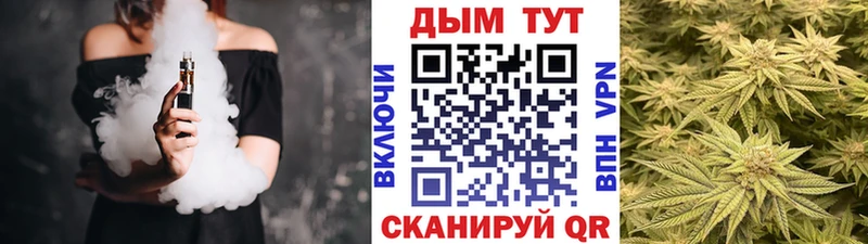 Каннабис SATIVA & INDICA  Кирсанов 